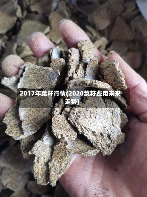 2017年菜籽行情(2020菜籽费用未来走势)-第3张图片