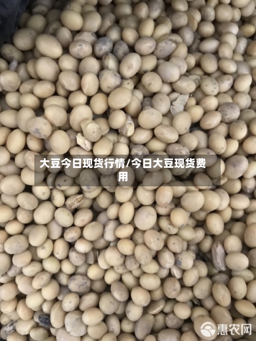 大豆今日现货行情/今日大豆现货费用-第3张图片