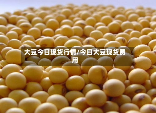 大豆今日现货行情/今日大豆现货费用-第2张图片