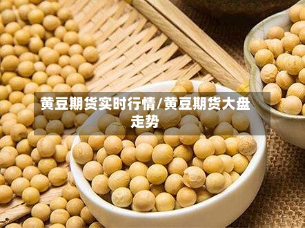 黄豆期货实时行情/黄豆期货大盘走势