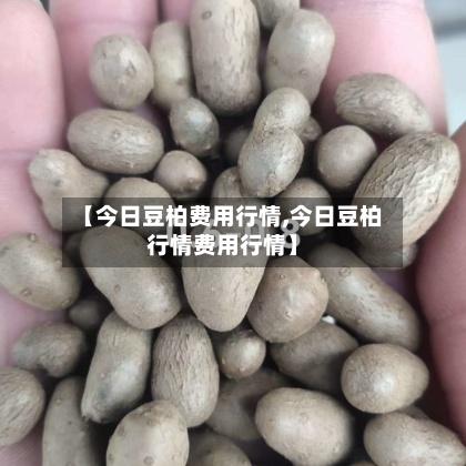 【今日豆柏费用行情,今日豆柏行情费用行情】
