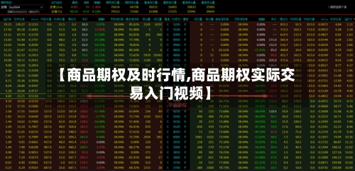 【商品期权及时行情,商品期权实际交易入门视频】