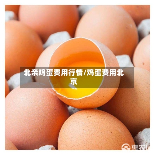 北亲鸡蛋费用行情/鸡蛋费用北京