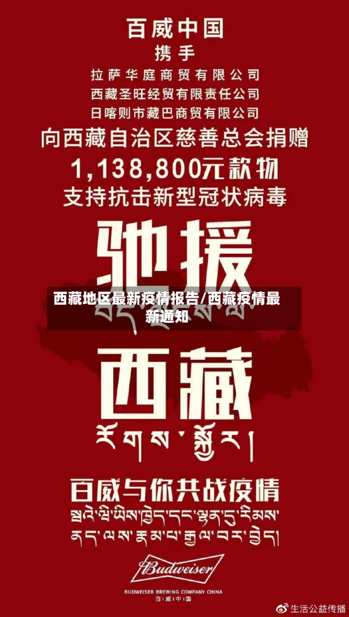 西藏地区最新疫情报告/西藏疫情最新通知-第3张图片