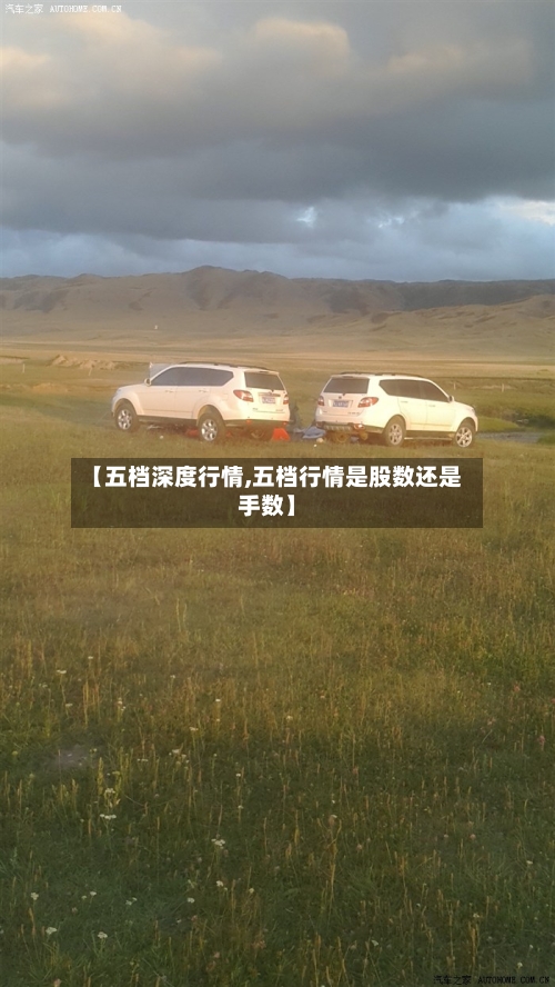 【五档深度行情,五档行情是股数还是手数】