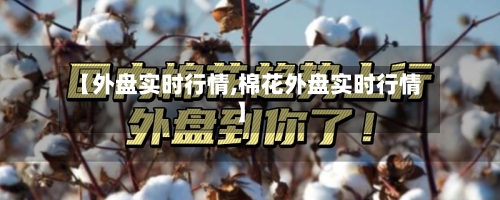 【外盘实时行情,棉花外盘实时行情】
