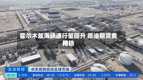 霍尔木兹海峡通行量回升 原油期货费用持稳