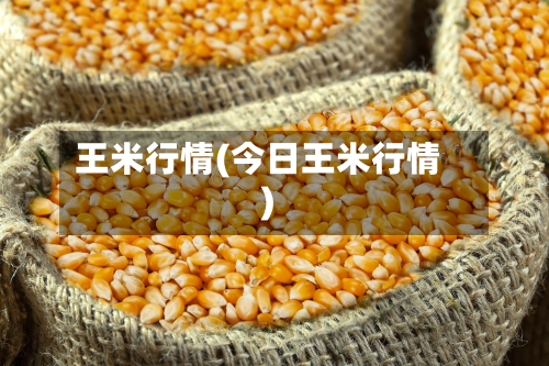 王米行情(今日王米行情)