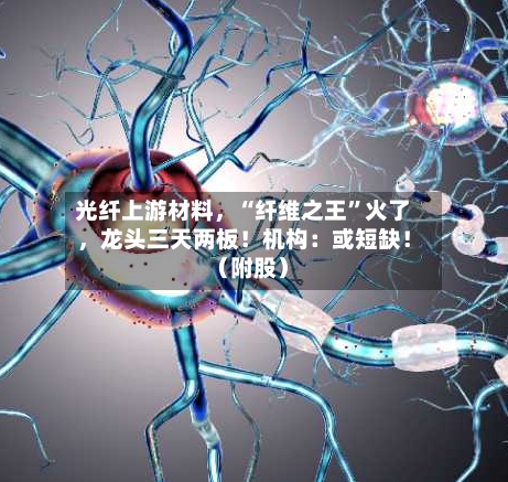 光纤上游材料，“纤维之王”火了，龙头三天两板！机构：或短缺！（附股）-第2张图片