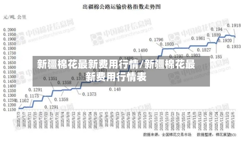 新疆棉花最新费用行情/新疆棉花最新费用行情表