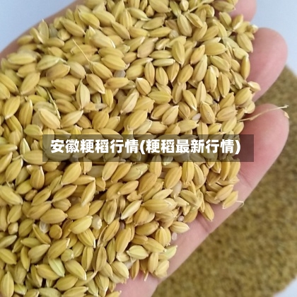 安徽粳稻行情(粳稻最新行情)