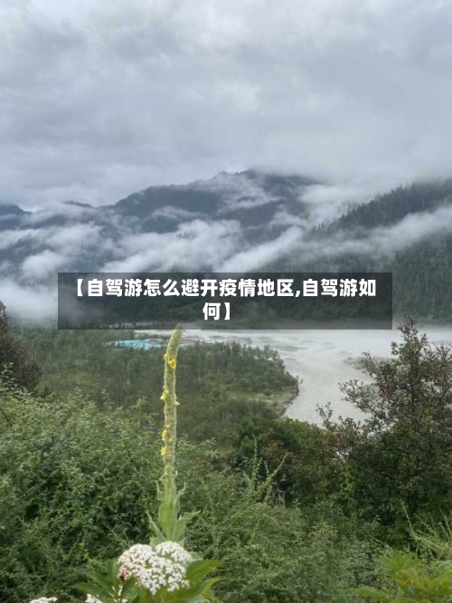 【自驾游怎么避开疫情地区,自驾游如何】-第2张图片