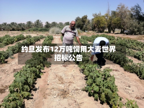 约旦发布12万吨饲用大麦世界招标公告-第2张图片