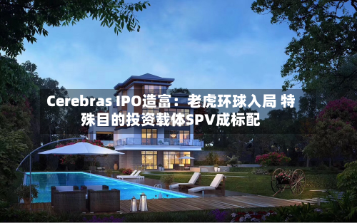 Cerebras IPO造富：老虎环球入局 特殊目的投资载体SPV成标配-第3张图片