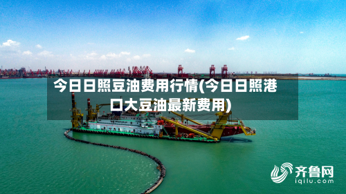 今日日照豆油费用行情(今日日照港口大豆油最新费用)-第2张图片