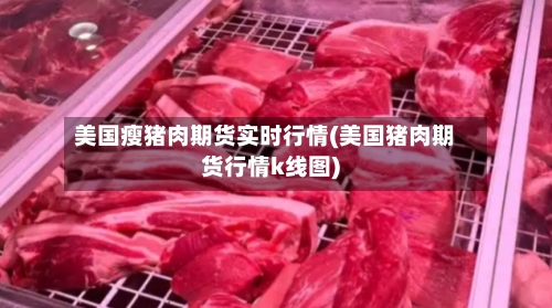 美国瘦猪肉期货实时行情(美国猪肉期货行情k线图)-第3张图片