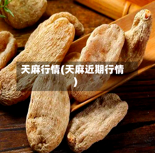 天麻行情(天麻近期行情)-第2张图片