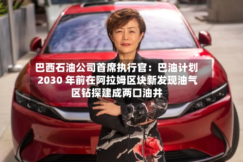 巴西石油公司首席执行官：巴油计划 2030 年前在阿拉姆区块新发现油气区钻探建成两口油井-第2张图片