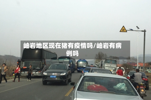 岫岩地区现在猪有疫情吗/岫岩有病例吗