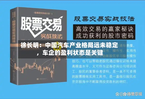 徐长明：中国汽车产业格局远未稳定，车企的盈利状态是关键-第2张图片