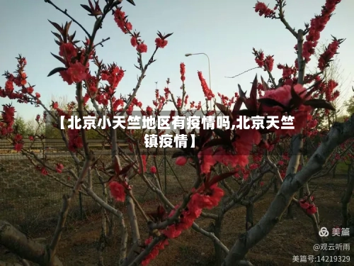 【北京小天竺地区有疫情吗,北京天竺镇疫情】-第2张图片