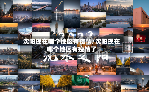 沈阳现在哪个地区有疫情/沈阳现在哪个地区有疫情了