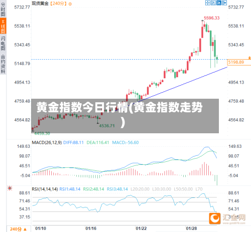 黄金指数今日行情(黄金指数走势)