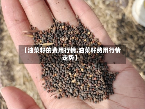 【油菜籽的费用行情,油菜籽费用行情走势】