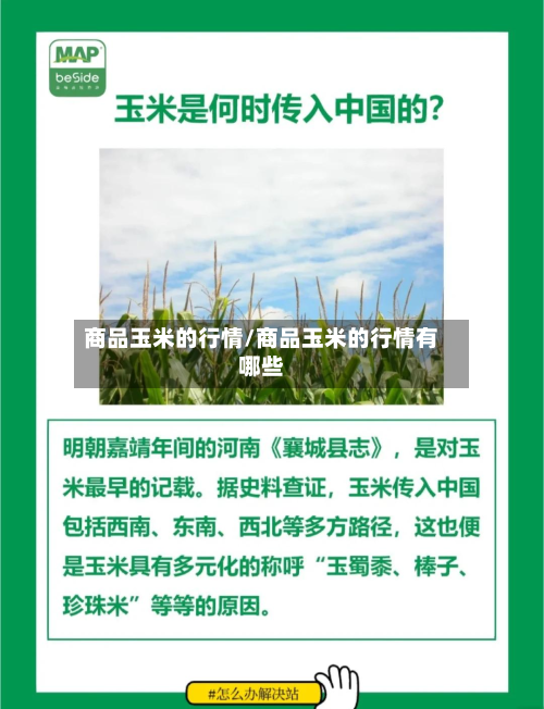 商品玉米的行情/商品玉米的行情有哪些