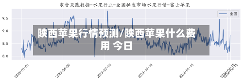 陕西苹果行情预测/陕西苹果什么费用 今日-第3张图片