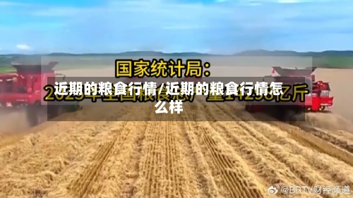 近期的粮食行情/近期的粮食行情怎么样