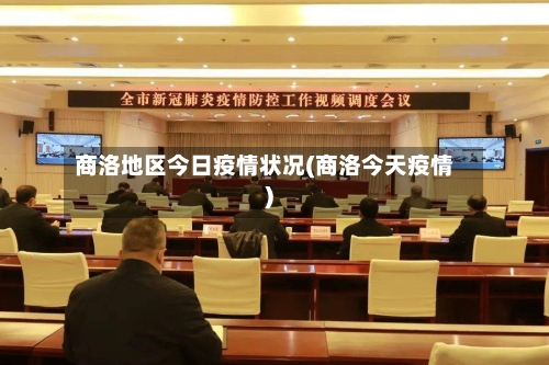 商洛地区今日疫情状况(商洛今天疫情)-第3张图片