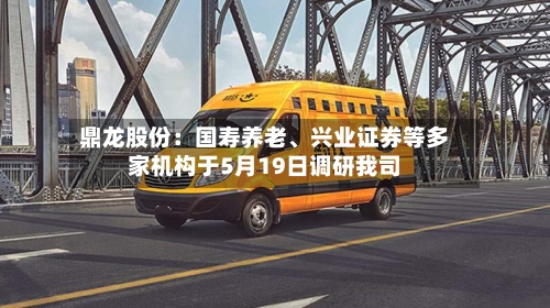 鼎龙股份：国寿养老、兴业证券等多家机构于5月19日调研我司-第2张图片