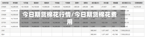 今日期货棉花行情/今日期货棉花费用-第2张图片