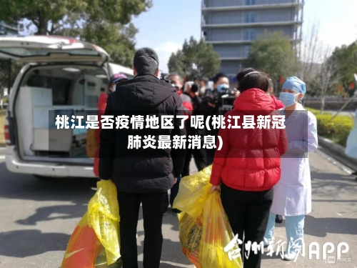桃江是否疫情地区了呢(桃江县新冠肺炎最新消息)