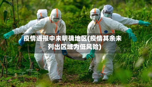 疫情通报中未明确地区(疫情其余未列出区域为低风险)