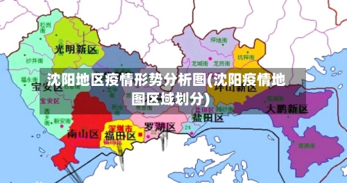 沈阳地区疫情形势分析图(沈阳疫情地图区域划分)
