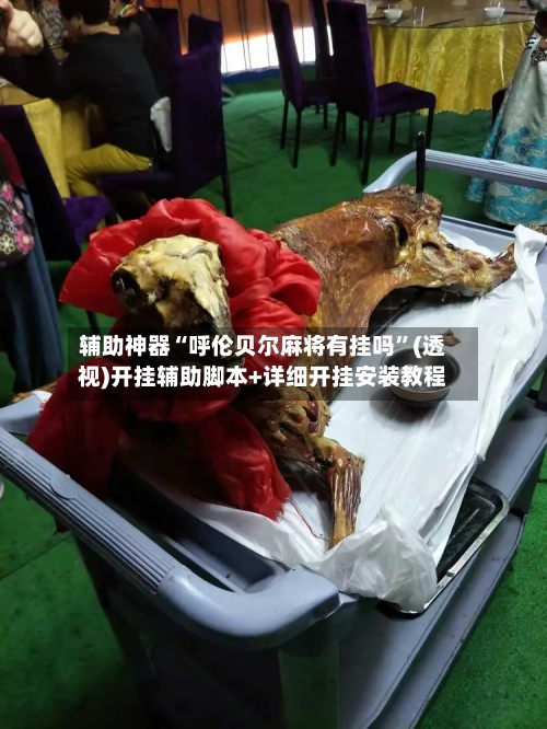 辅助神器“呼伦贝尔麻将有挂吗”(透视)开挂辅助脚本+详细开挂安装教程-第2张图片