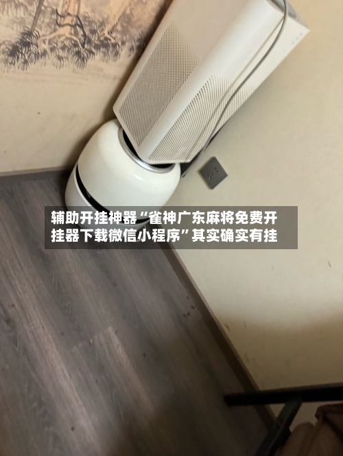 辅助开挂神器“雀神广东麻将免费开挂器下载微信小程序”其实确实有挂-第3张图片
