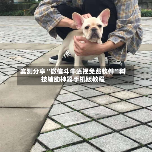 实测分享“微信斗牛透视免费软件	”科技辅助神器手机版教程-第3张图片