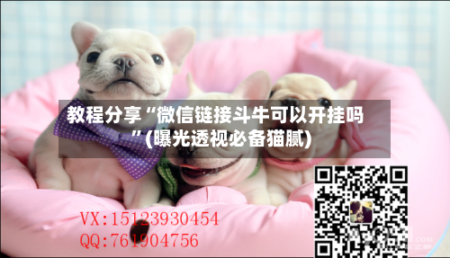 教程分享“微信链接斗牛可以开挂吗	”(曝光透视必备猫腻)-第2张图片