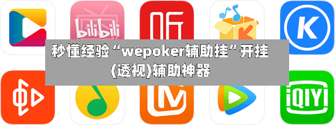 秒懂经验“wepoker辅助挂	”开挂(透视)辅助神器-第2张图片