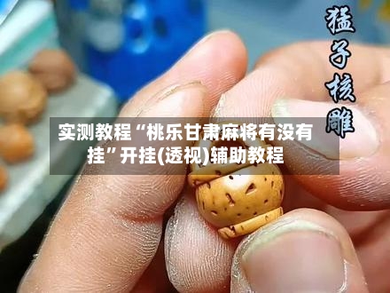 实测教程“桃乐甘肃麻将有没有挂”开挂(透视)辅助教程-第2张图片