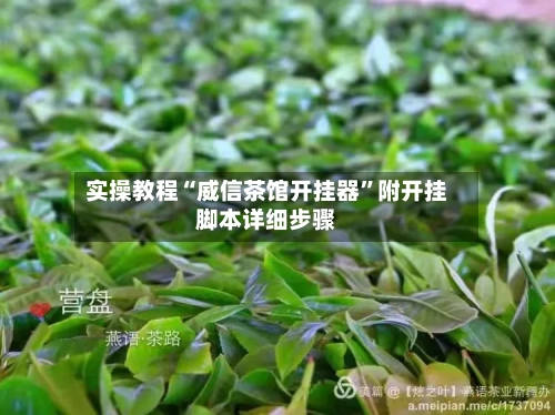 实操教程“威信茶馆开挂器”附开挂脚本详细步骤