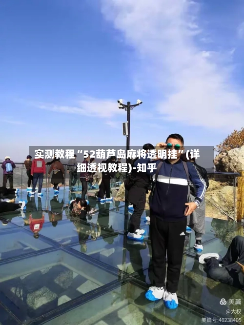实测教程“52葫芦岛麻将透明挂	”(详细透视教程)-知乎-第2张图片