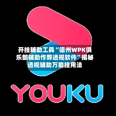 开挂辅助工具“德州WPK俱乐部辅助作弊透视软件”揭秘透视辅助万能挂用法-第2张图片