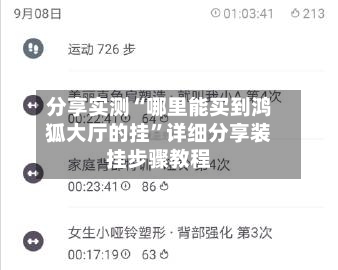 分享实测“哪里能买到鸿狐大厅的挂”详细分享装挂步骤教程