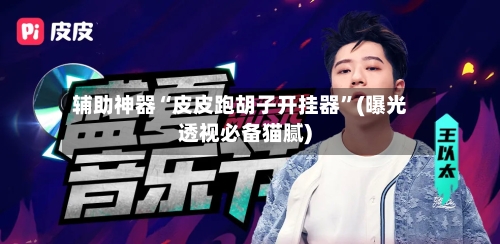 辅助神器“皮皮跑胡子开挂器”(曝光透视必备猫腻)-第2张图片