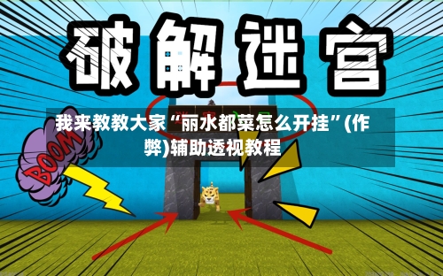 我来教教大家“丽水都菜怎么开挂”(作弊)辅助透视教程