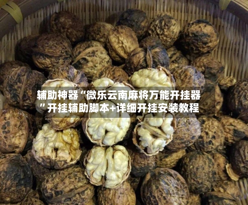 辅助神器“微乐云南麻将万能开挂器	”开挂辅助脚本+详细开挂安装教程-第2张图片